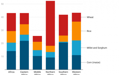 Shifting Food Systems is a Team Sport